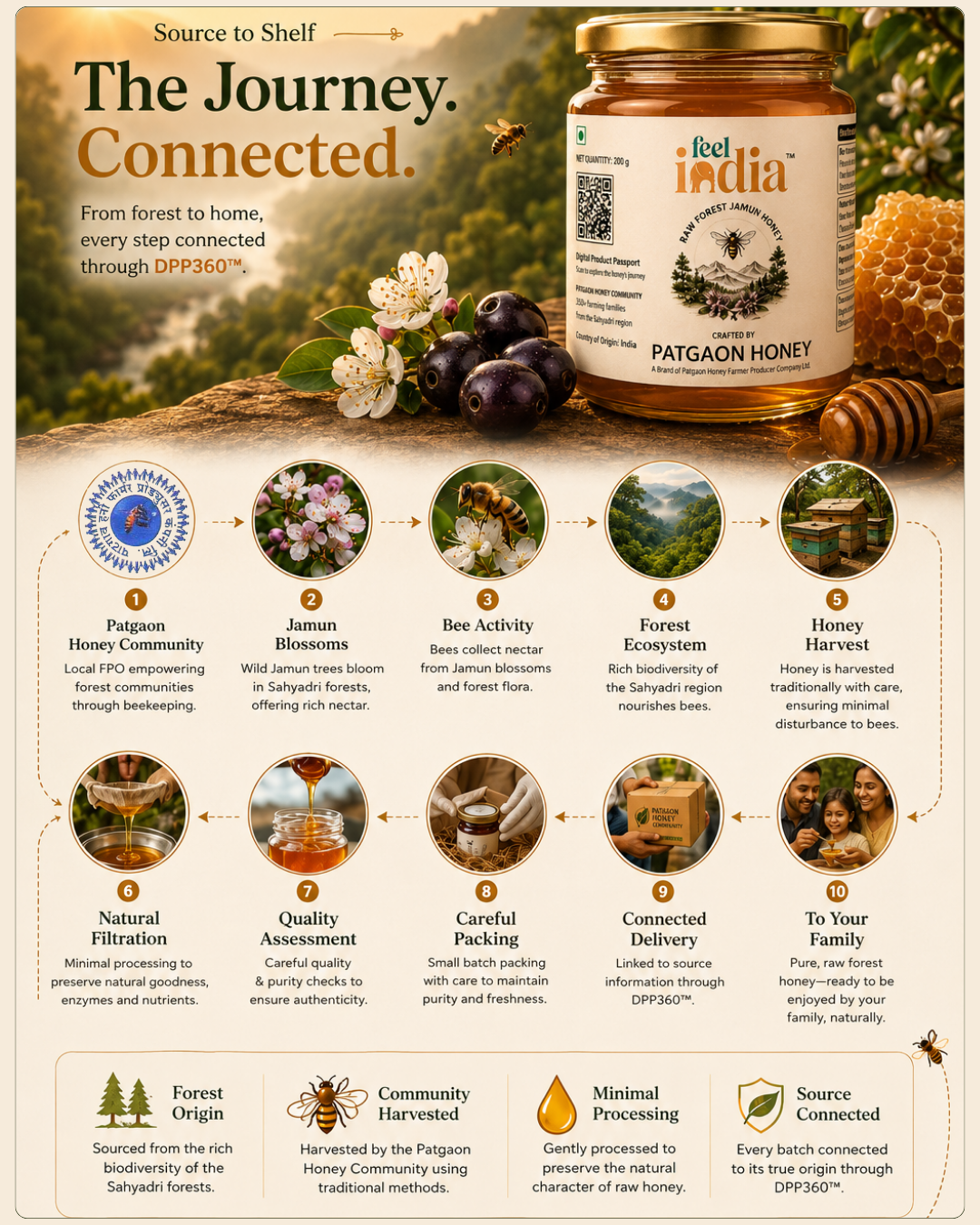 Feel India Jamun Honey