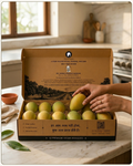 Open box of premium Feel India™ Kesar mangoes presented in archival-style packaging with farm illustration, QR-based provenance verification, and naturally cultivated mangoes from Maharashtra, India.