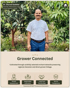 Verified Feel India™ Source Steward standing inside a Baramati mango orchard as part of the DPP360 connected provenance and grower transparency network.