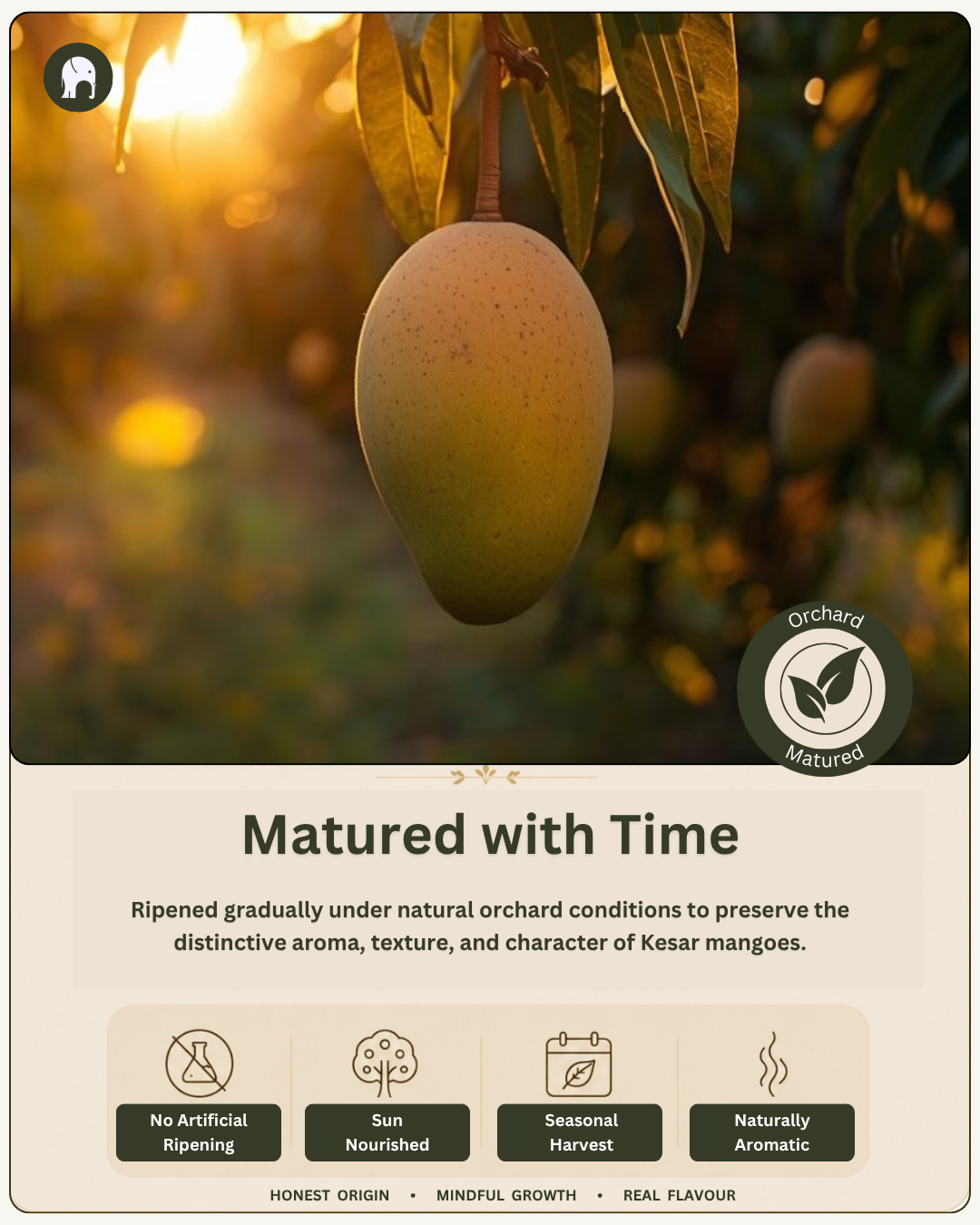 Feel India™ Kesar Mangoes