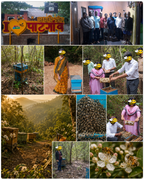 Feel India Jamun Honey
