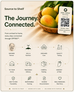 Editorial overview of the Feel India™ DPP360 provenance journey showing connected traceability from orchard cultivation and quality testing to packaging, delivery, and verified source transparency.