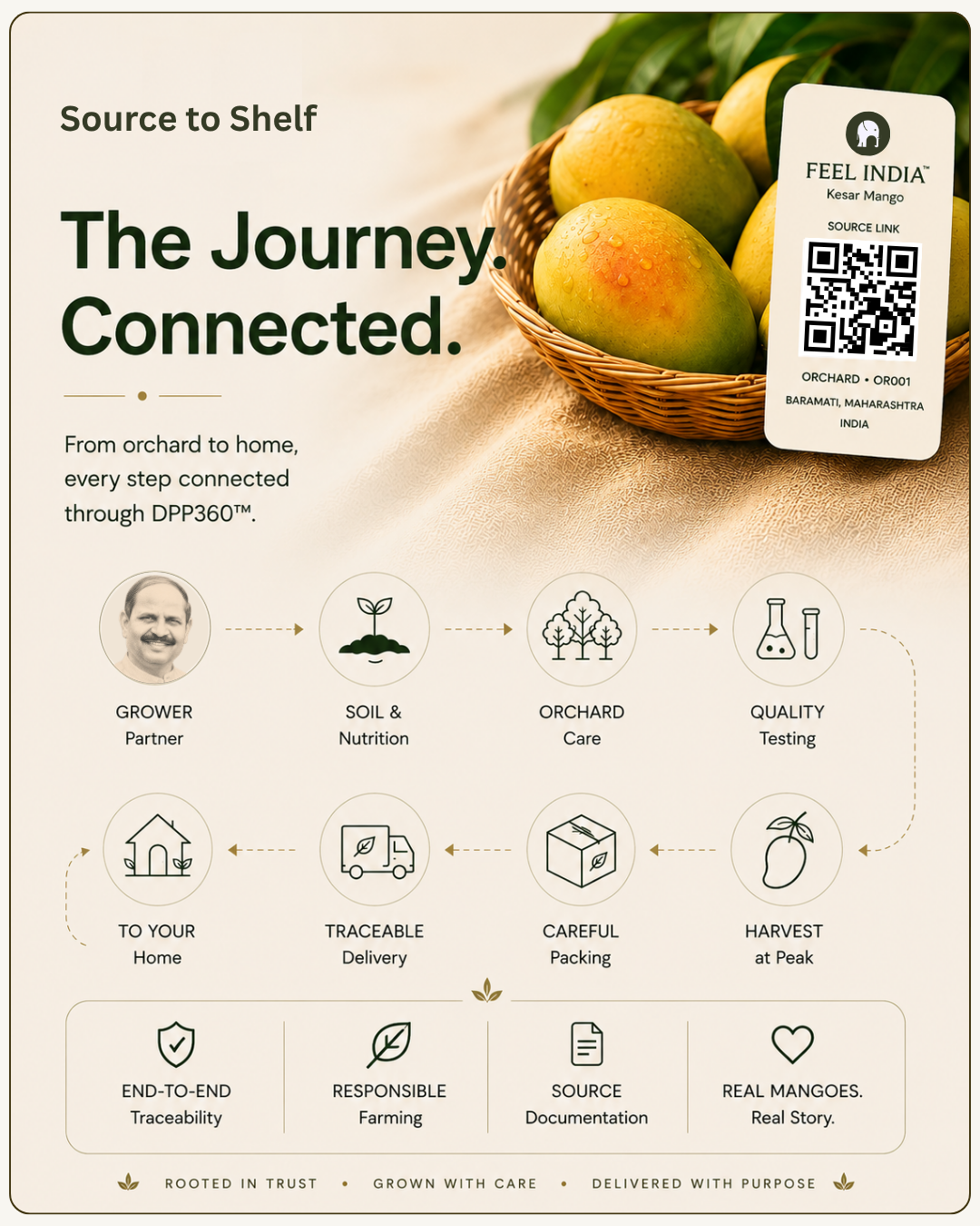 Editorial overview of the Feel India™ DPP360 provenance journey showing connected traceability from orchard cultivation and quality testing to packaging, delivery, and verified source transparency.